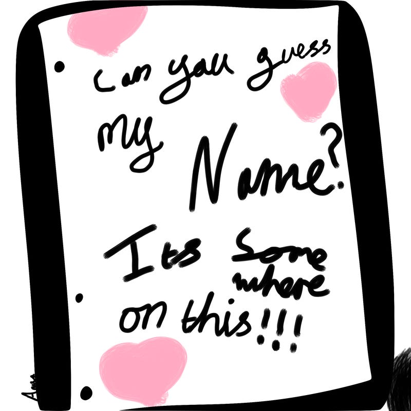 blank white page with nothing drawn on it