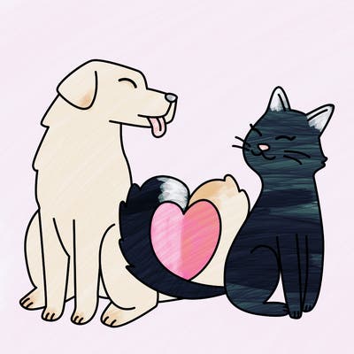 animals_22
