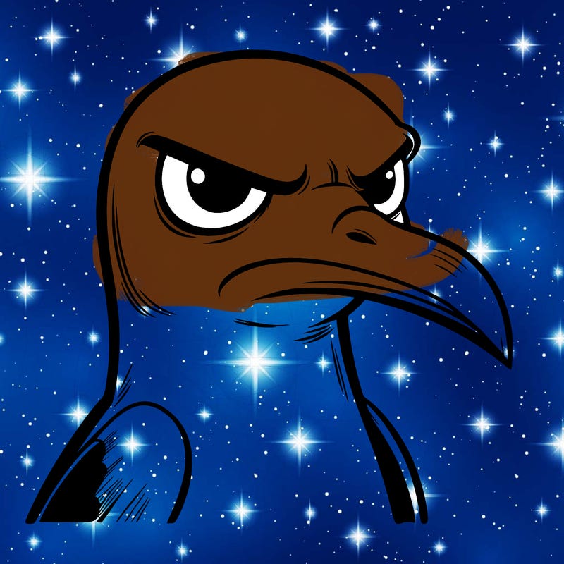 serious seagull