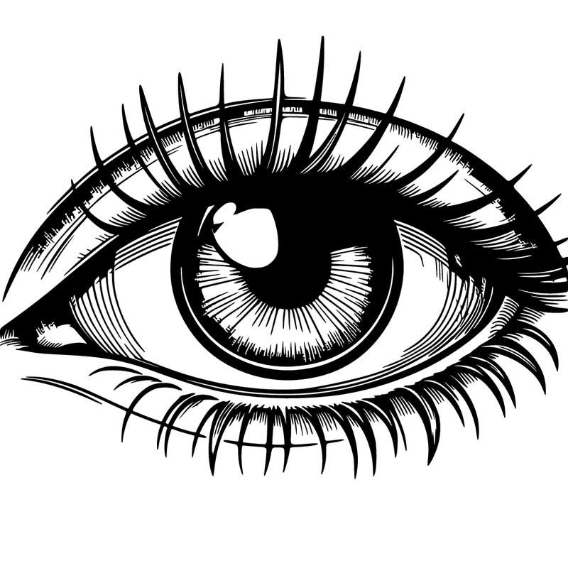 an realistic eye