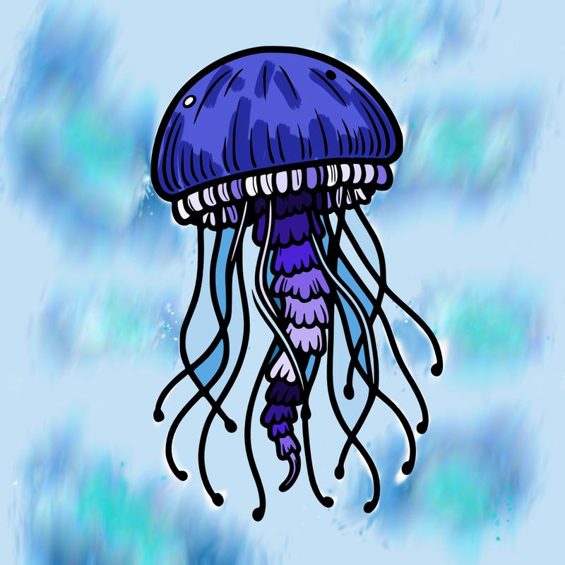 jellyfish