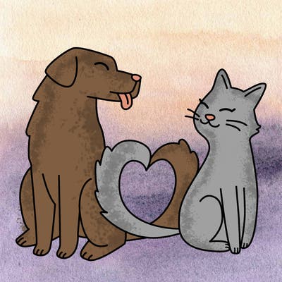 animals_22