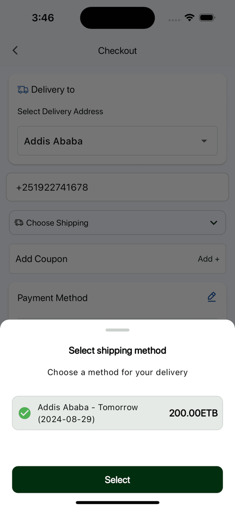 Gojo Shop - Pantalla de pago de la aplicación Gojo Shop que muestra las opciones de envío para entrega en Adís Abeba