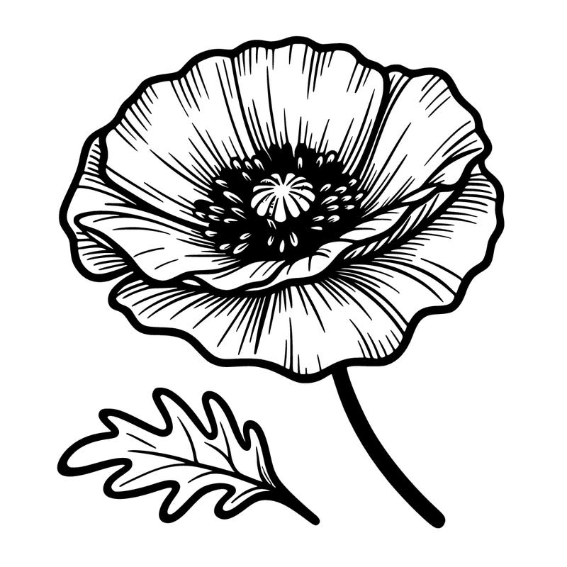 poppy