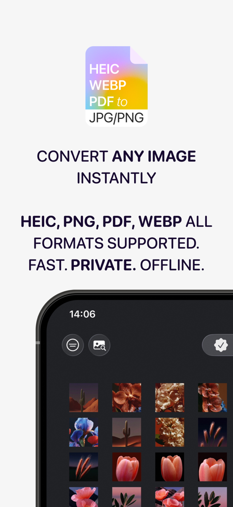 A mobile app interface showing image conversion options for HEIC PDF and WEBP formats.