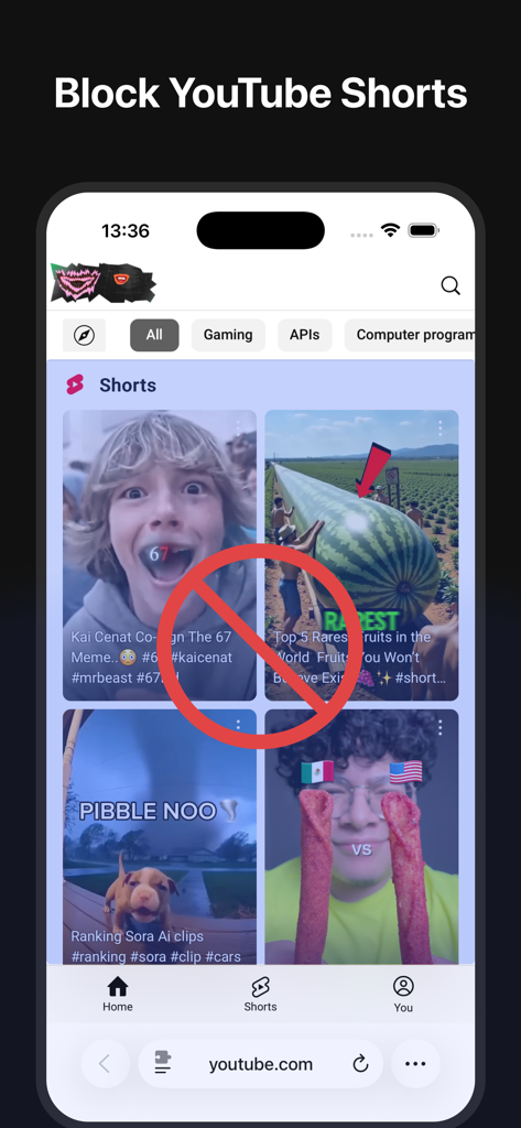 Clean YT for Safari - Clean YT for Safari extension interface blocking YouTube Shorts on mobile