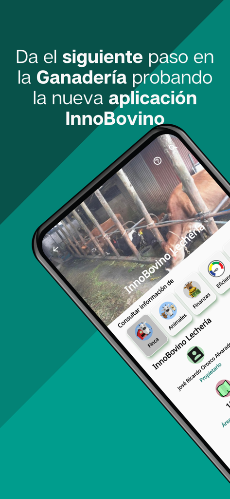 Pantalla de smartphone mostrando la interfaz de la app InnoBovino para gestión ganadera digital y seguimiento de fincas de ganado en español.