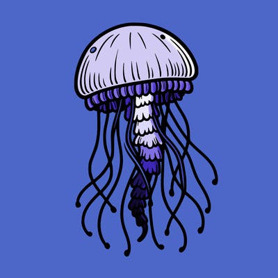 jellyfish