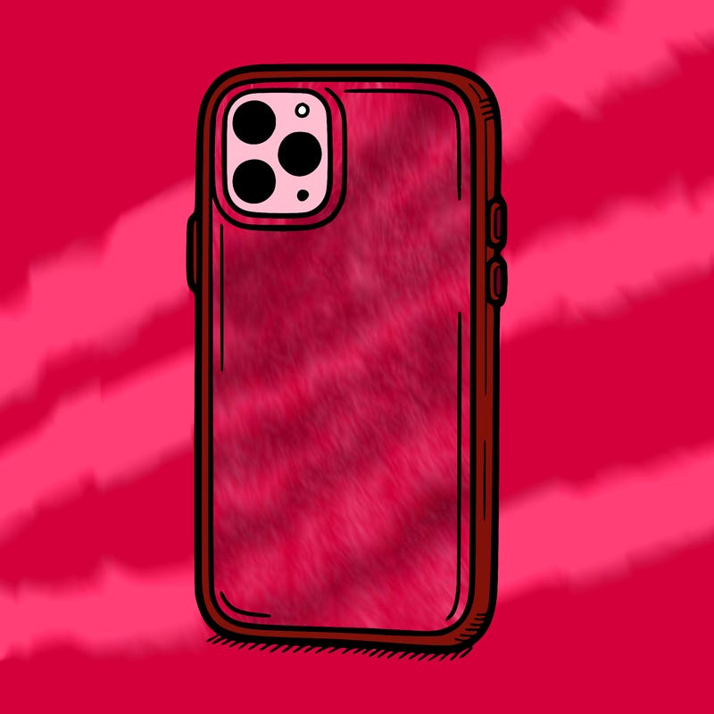 phone case