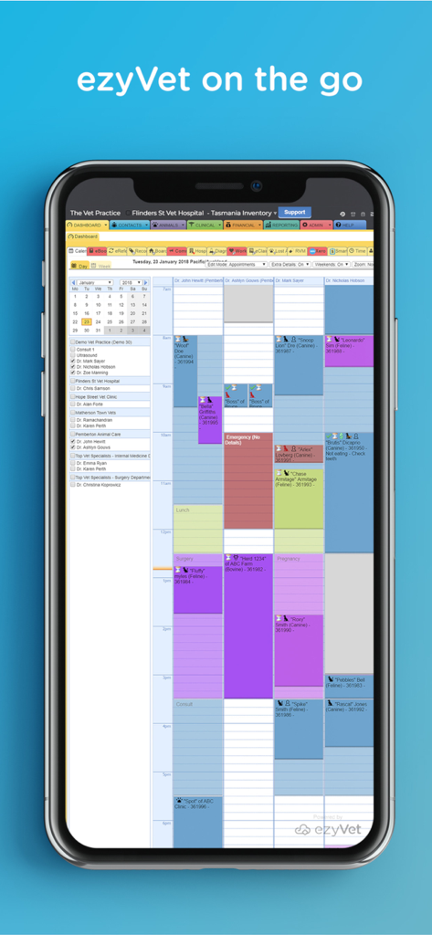 Captura de tela do aplicativo móvel ezyVet Connect exibindo uma agenda diária detalhada de consultas para profissionais veterinários.