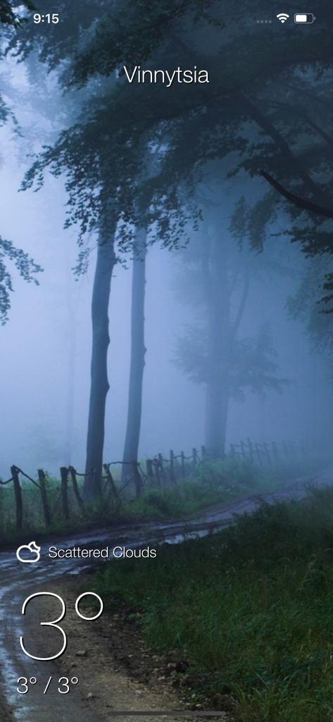 Local Meteo - weather live - Local Meteo weather app screen for Vinnytsia featuring a misty forest background and three degrees temperature