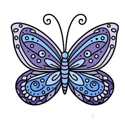 butterfly