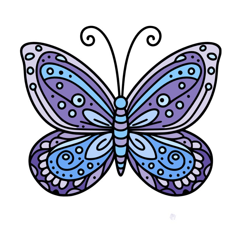 butterfly