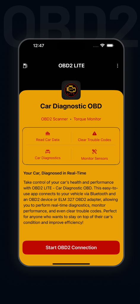 Interfaz de la aplicación Torque OBD2 Lite mostrando funciones de diagnóstico del coche y botón de inicio de conexión