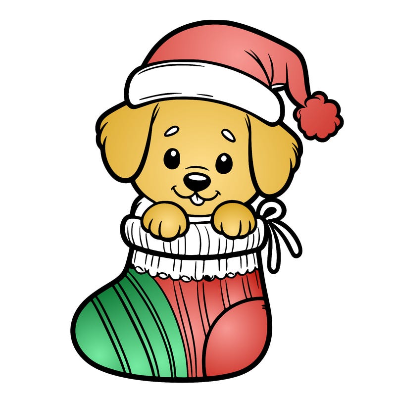 cute puppy wearing santa hat in socking