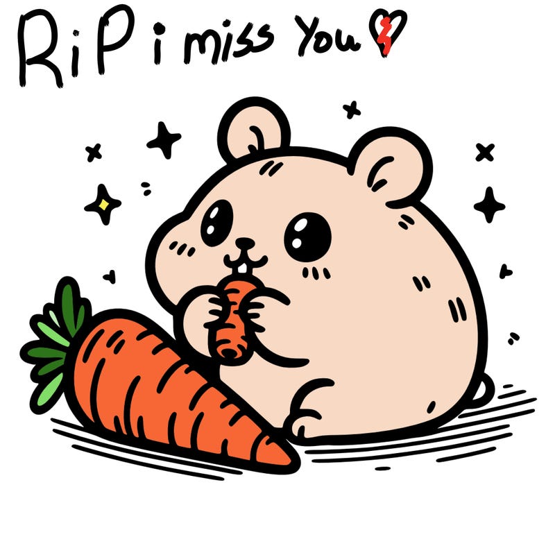 hamster eating a carrot