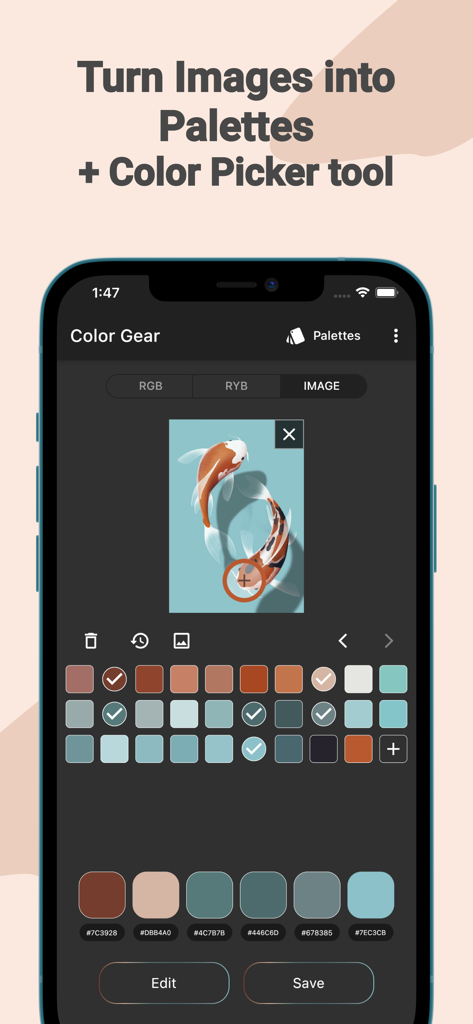 Color Wheel： Palette ColorGear - Mobile app interface extracting a harmonious color palette from a photo of fish with hex codes