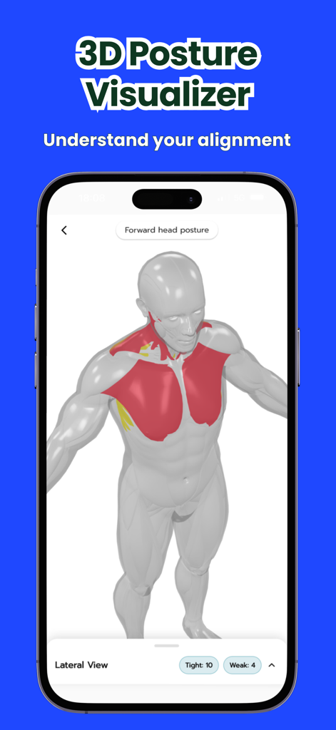 PhysioAI: Posture & Body Scan - Modelo humano anatómico 3D que visualiza la alineación corporal y la tensión muscular en la aplicación PhysioAI