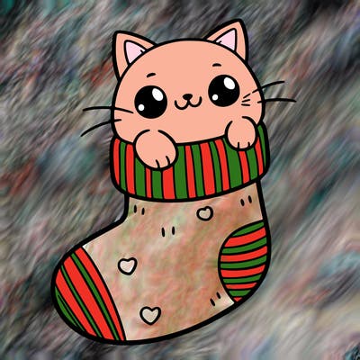cute cat in a sock