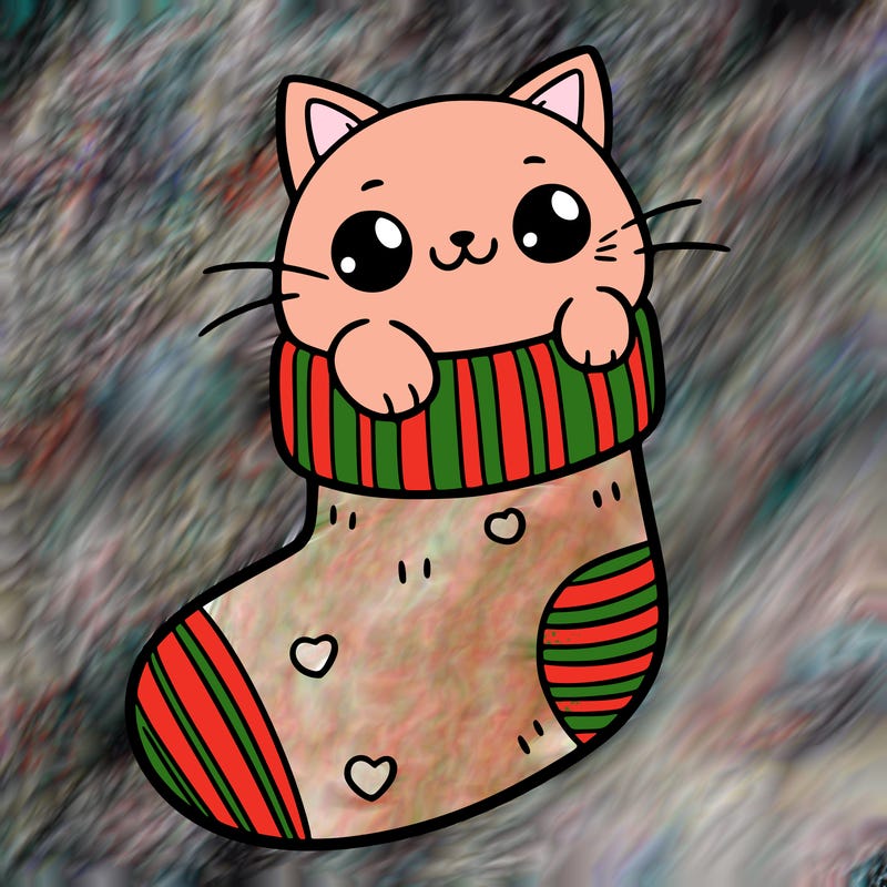 cute cat in a sock