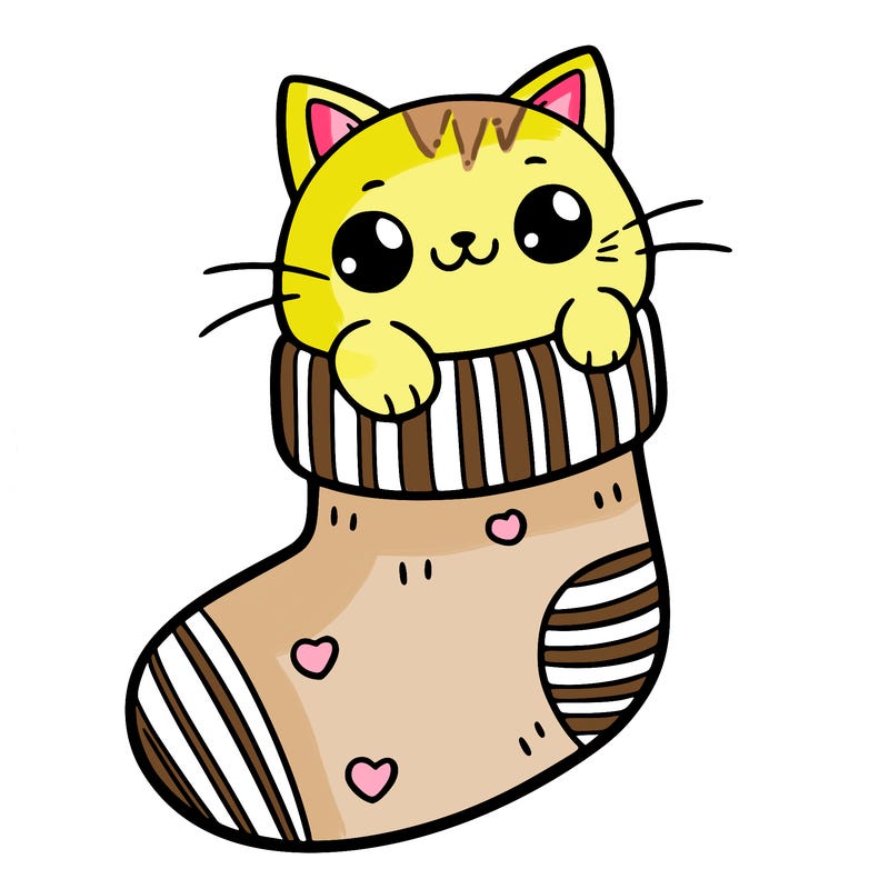 cute cat in a sock