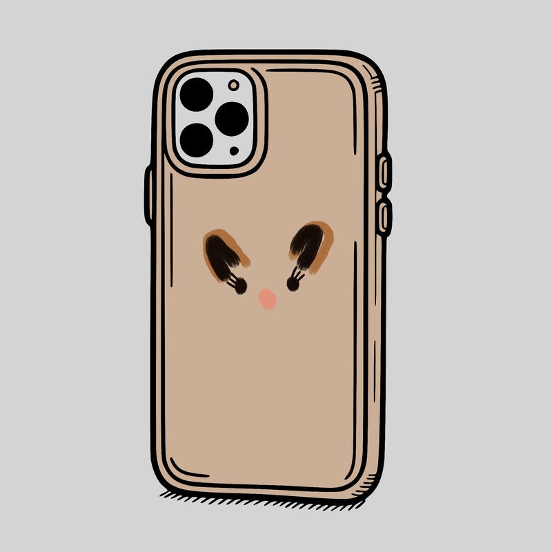 phone case