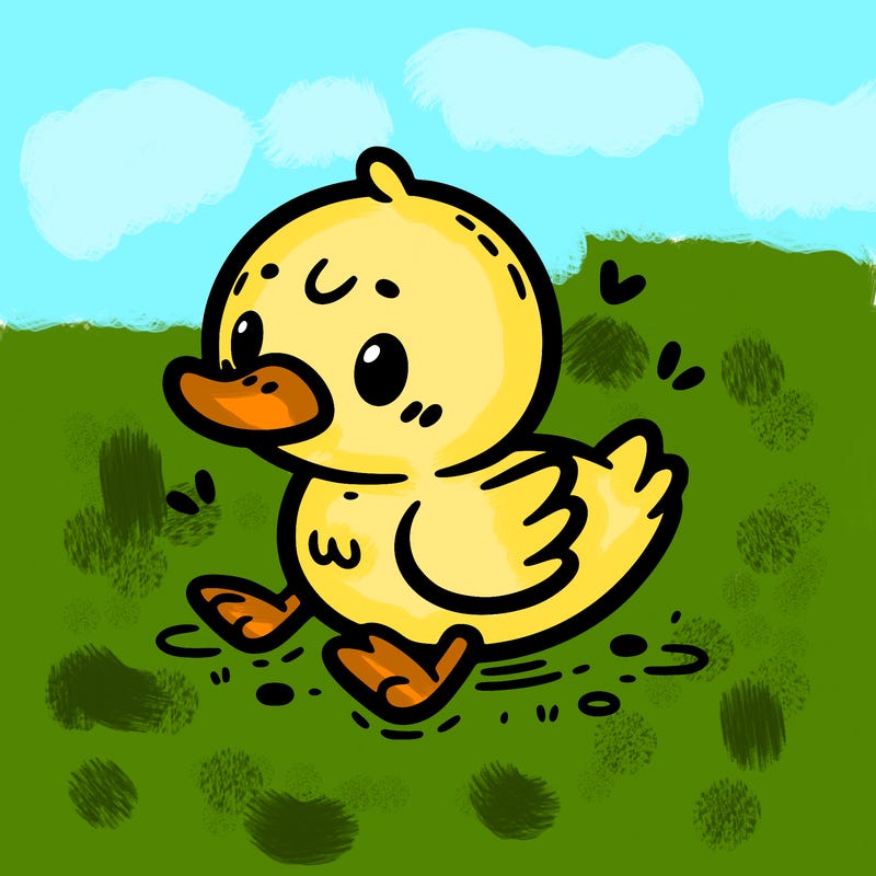 cute duck