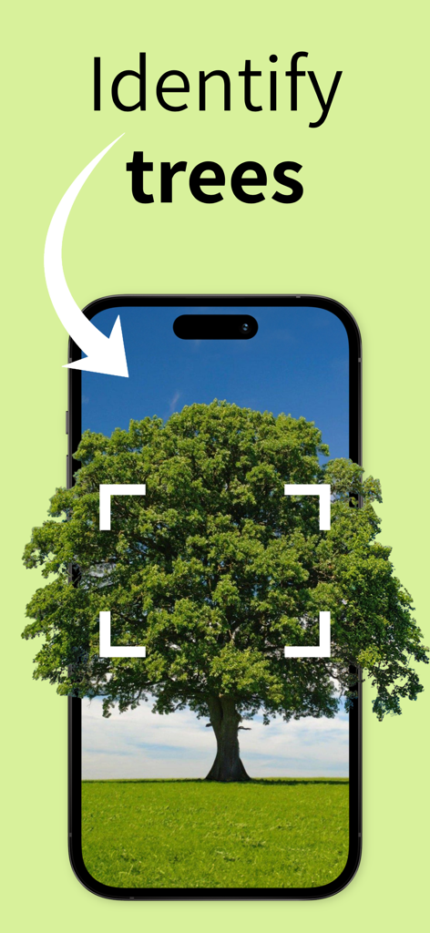 Tree Identifier: Wood & Leaf ‎ - AI搭載の樹木識別プロセスを表示するスマートフォンの画面