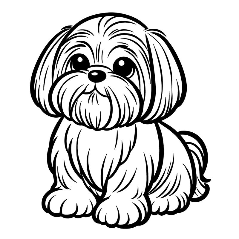 shih tzu