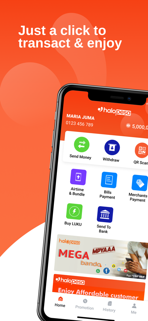 HaloPesa | Dinero Móvil Rápido y Seguro para Tanzania