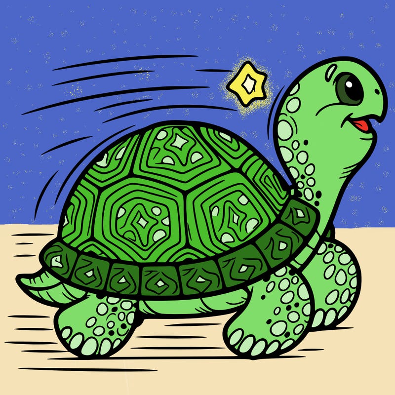 tortoise