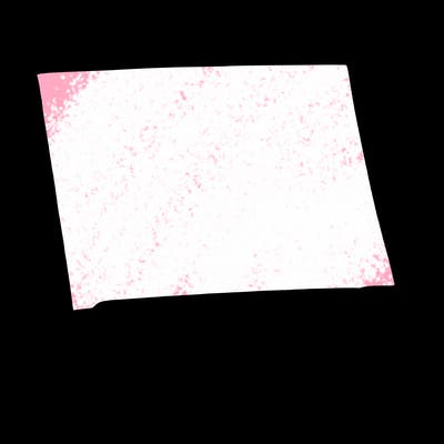 blank canvas