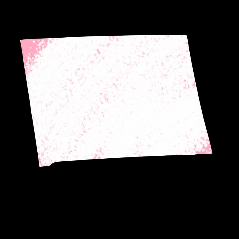blank canvas