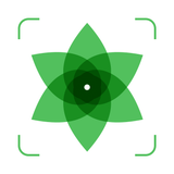 Plant Identification ++