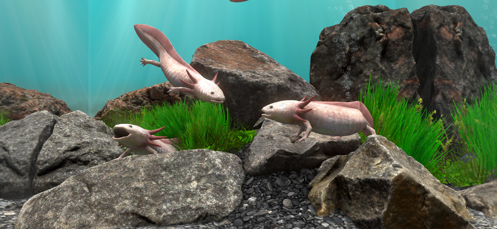 Three pink axolotls in a realistic 3D underwater environment with rocks and plants