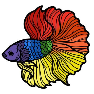 betta fish