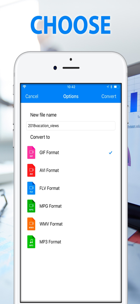 Interfaz de la aplicación Video Files Converter mostrando opciones para renombrar un archivo y seleccionar formatos de salida como GIF y MP3
