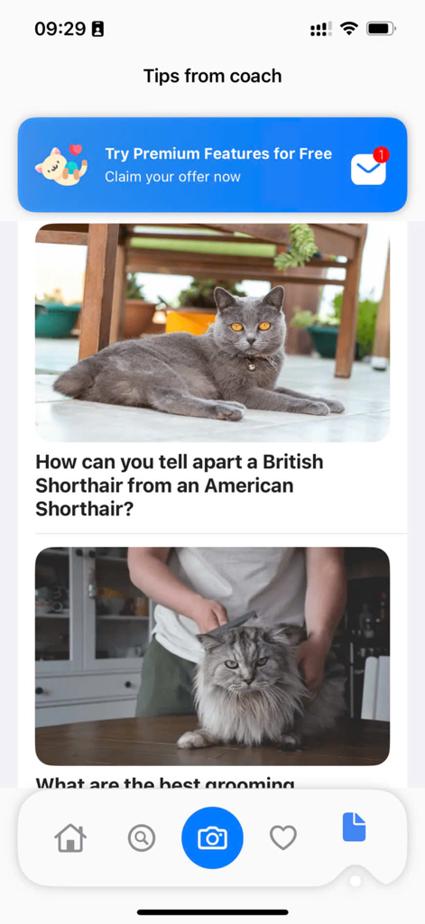 Cat Identifier: AI Scanner - A screen in the Cat Identifier app titled Tips from coach showing articles about cat breed differences and grooming