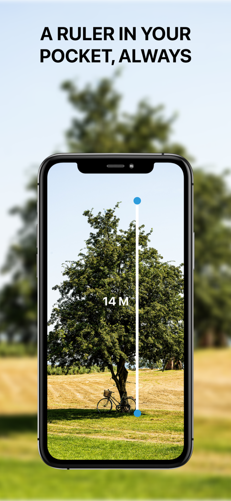 Measure Height With Camera App - A smartphone using a height measuring app to determine a trees height in meters