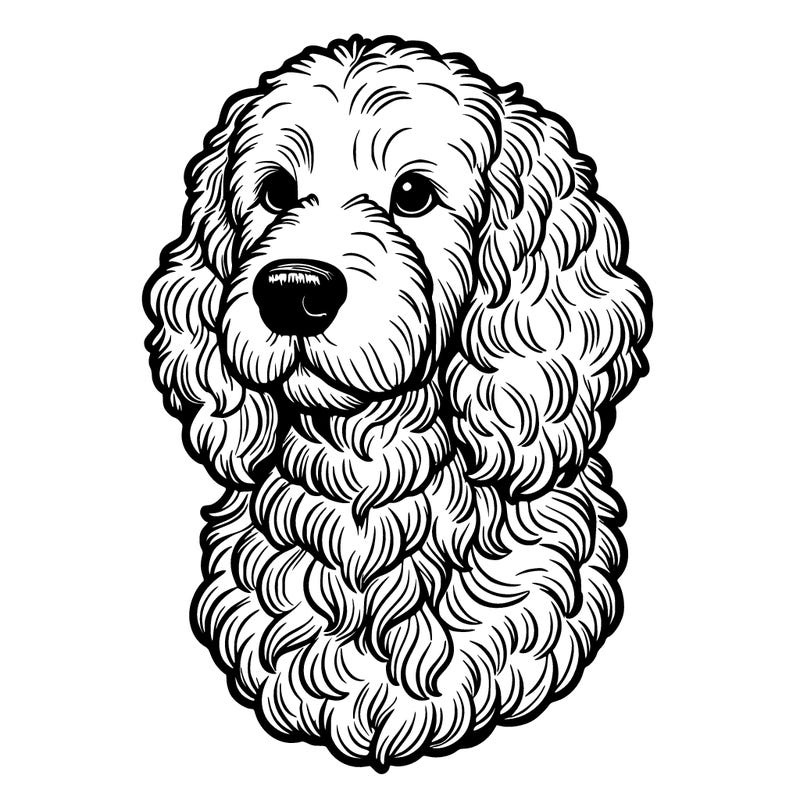 realistic golden doodle