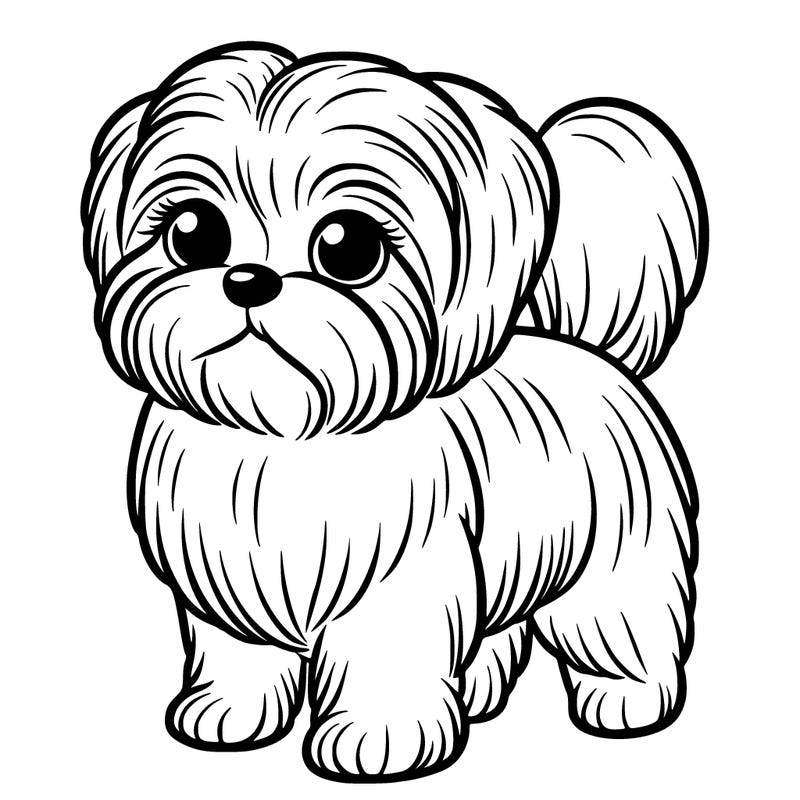 small shih tzu