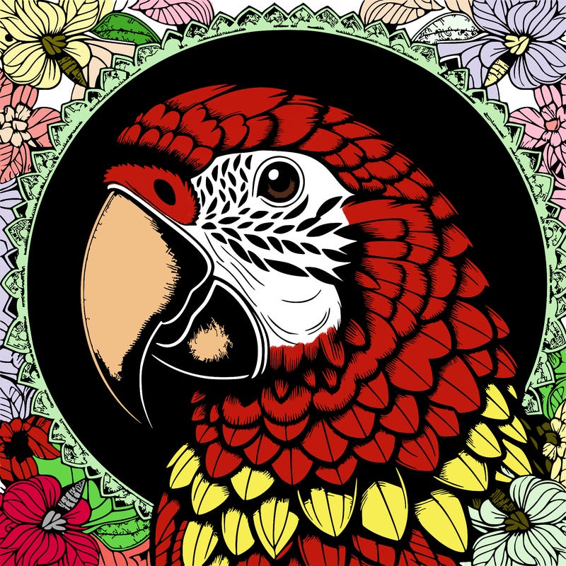 realistic parrot mandala