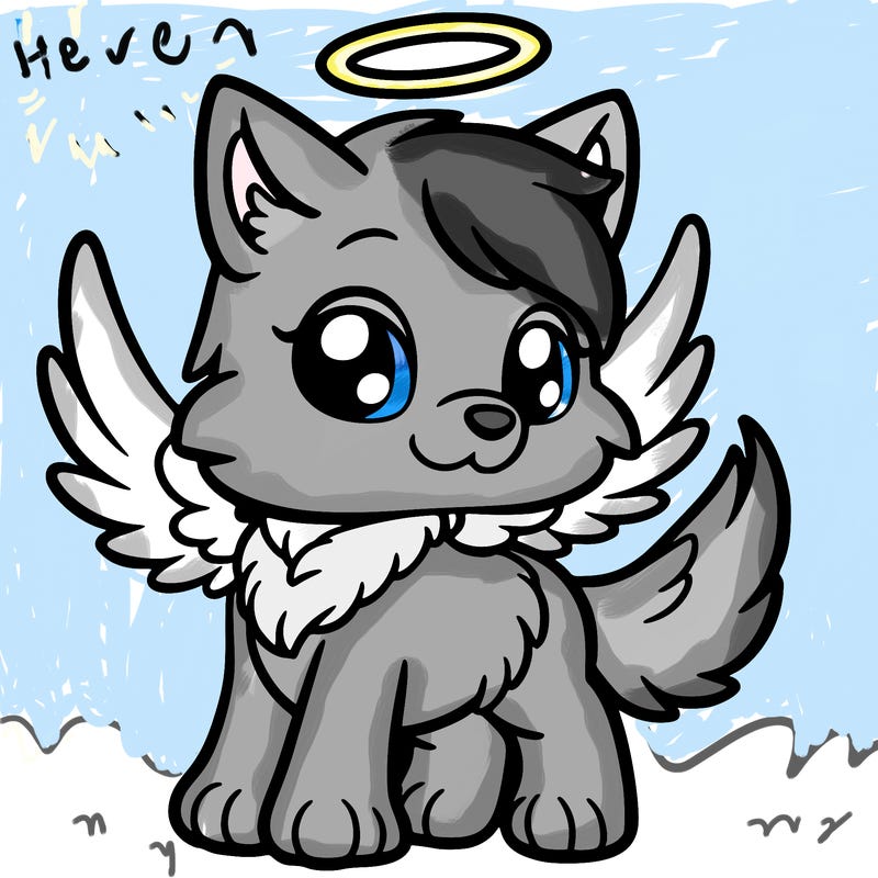 angel pup wolf