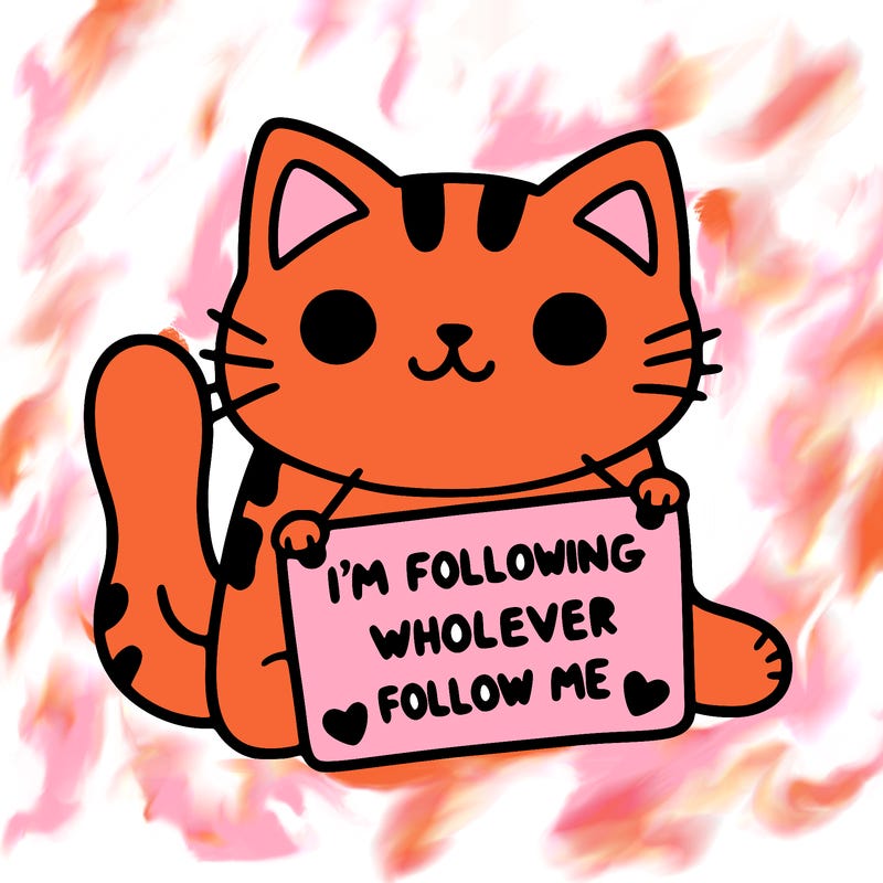 cat with a sign that says i’m following whoever follows me
