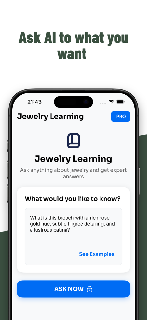 Jewelry Identifier: Gem Scan - Interface de chat de IA para fazer perguntas sobre identificação de joias e artesanato