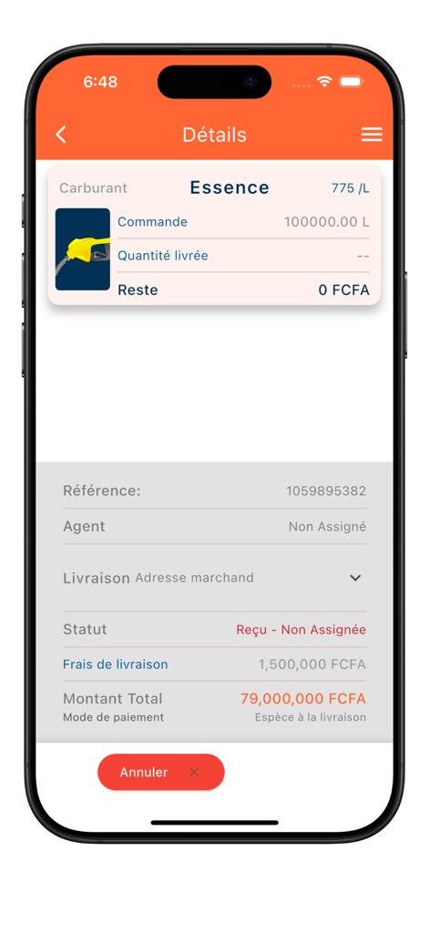 Smartphone screen showing gasoline delivery order details and total price