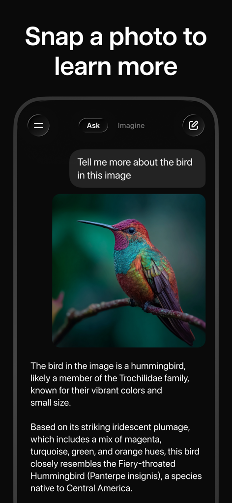 Grok AI app interface showing an image analysis of a colorful hummingbird with descriptive text.