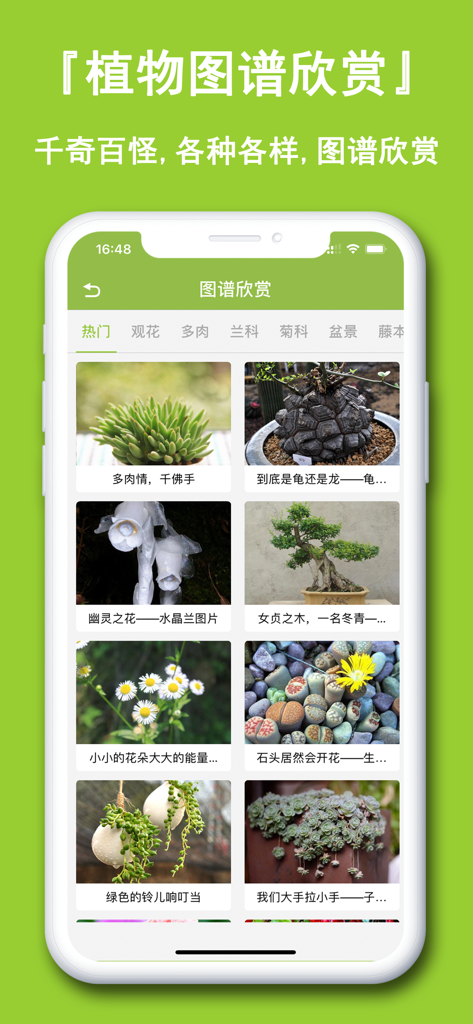 植物识别-认识植物图鉴平台 - Eine mobile App-Oberfläche, die eine kuratierte Galerie verschiedener Pflanzen und Blumen anzeigt