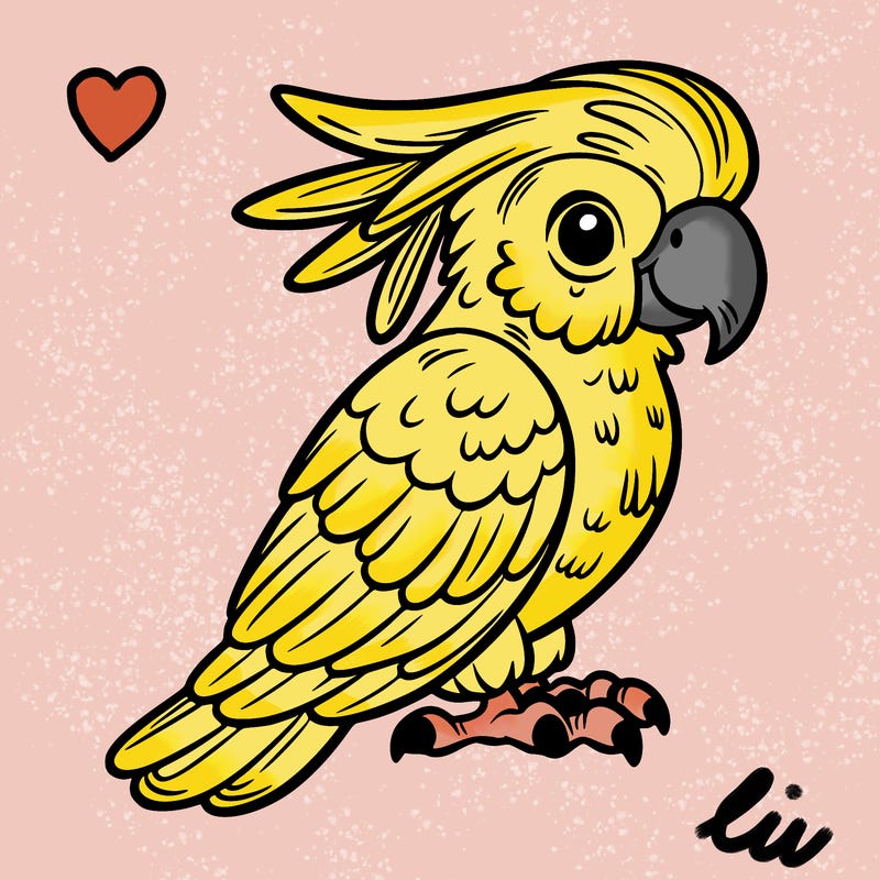 cockatoo