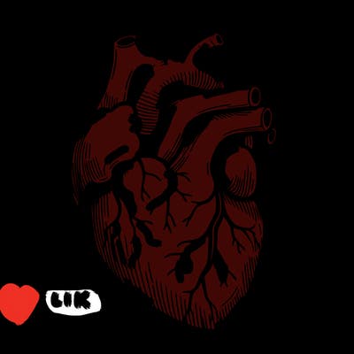 a realistic human heart